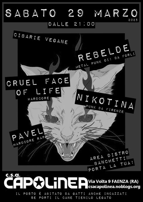 Rebelde | Cruel face of life | Nikotina | Pavel