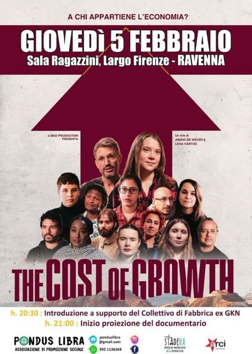 THE COST OF THE GROWTH