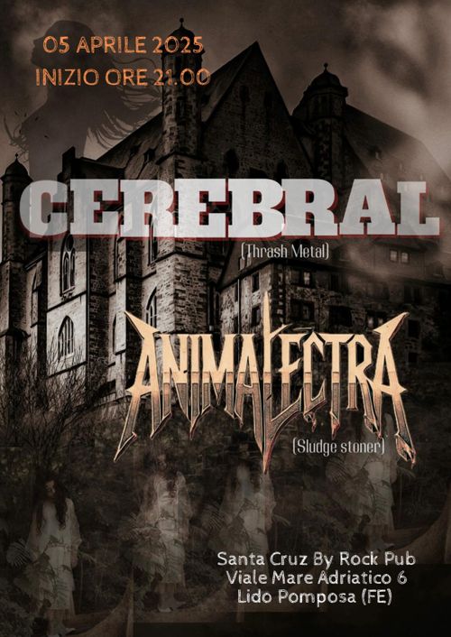 Cerebral e Animalectra live al Rock Pub