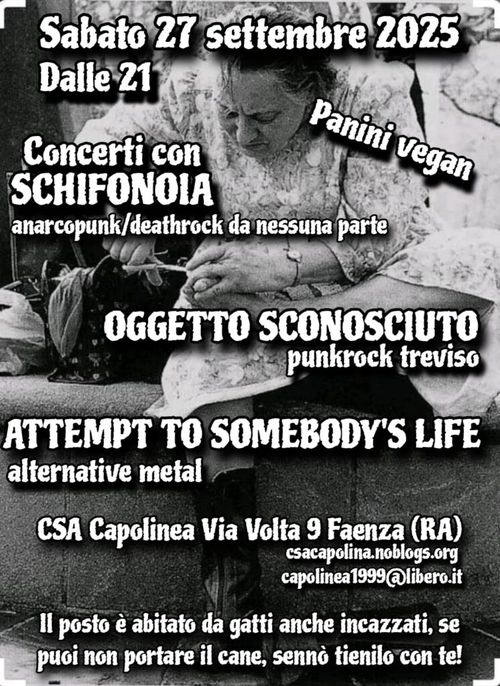 Schifonoia | Oggetto sconosciuto | Attempt to somebody's life